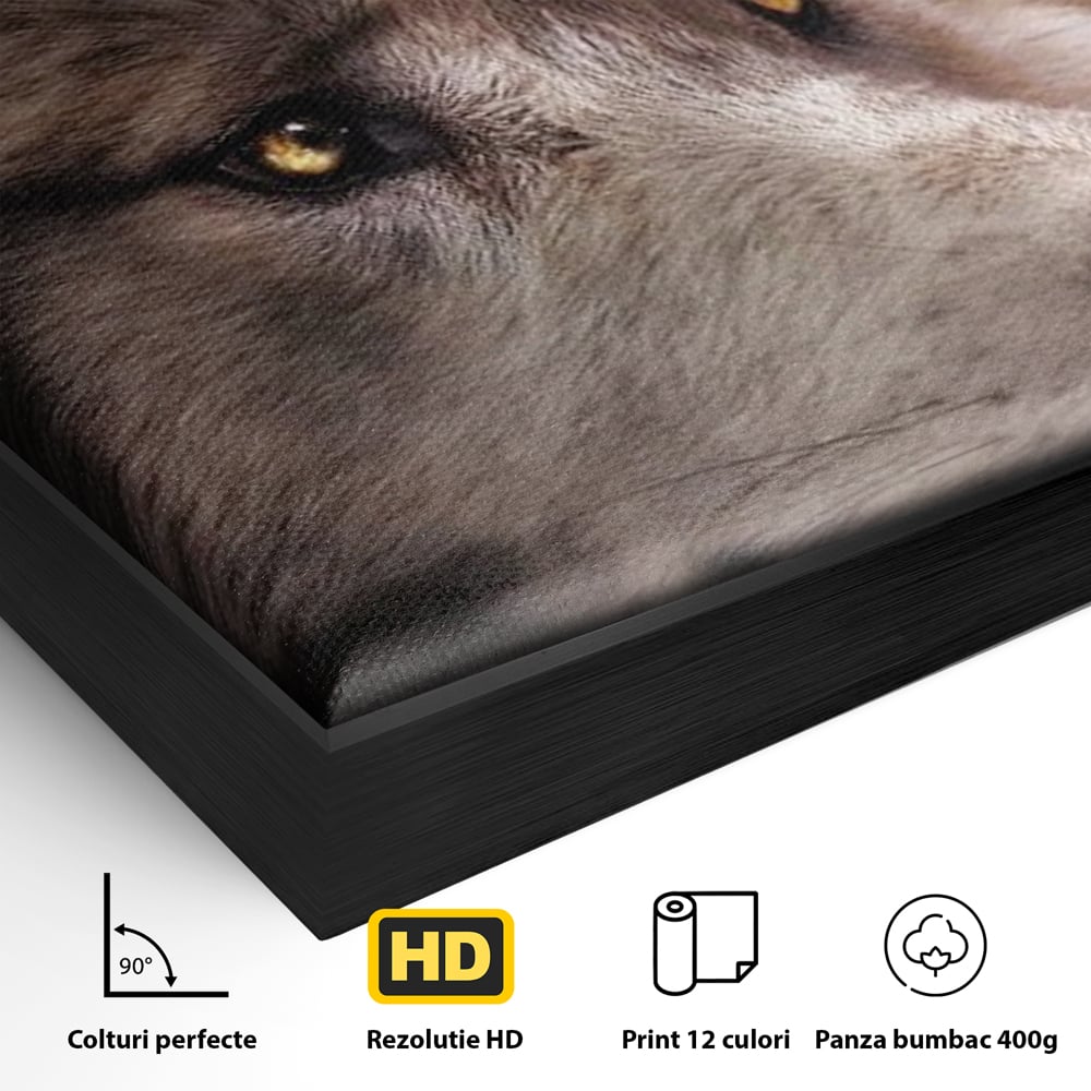 Detaliu al suprafetei: tablou canvas cu cap de lup, in rama de aluminiu negru